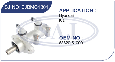 SJBMC13