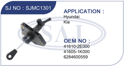 SJMC13